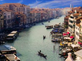 Venice : Natural Wonder