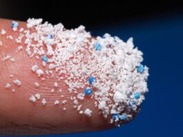 Microplastics in salt and suger